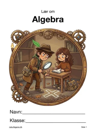 Algebra og ligninger – undervisningsforløb til matematik