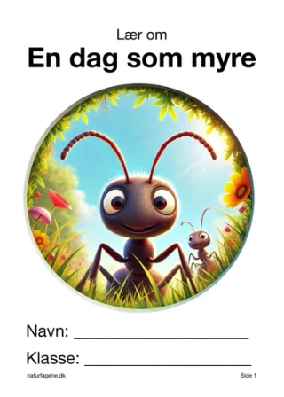 En dag som myre – undervisningsforløb til natur/teknologi