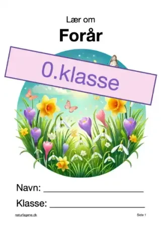Forår – undervisningsforløb til natur/teknologi