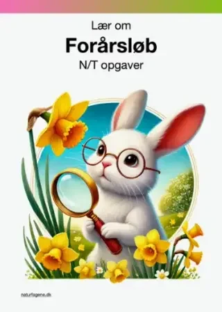 Forårsløb – undervisningsforløb til natur/teknologi