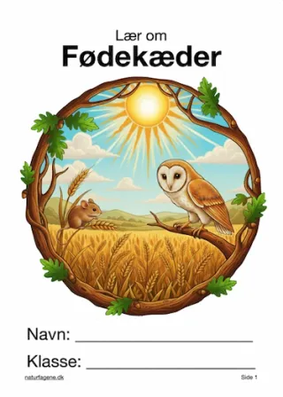 Illustration til undervisningsforløbet om Fødekæder