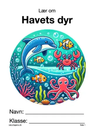 Illustration til undervisningsforløbet om Havets dyr