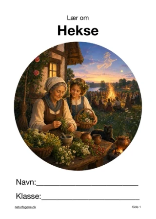 Hekse – undervisningsforløb til historie