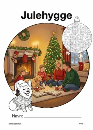 Julehygge – undervisningsforløb til hygge