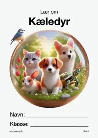 Kæledyr – undervisningsforløb til natur/teknologi