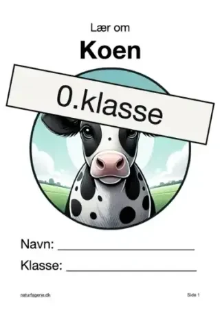 Koen – undervisningsforløb til natur/teknologi