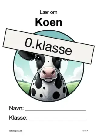 Illustration til undervisningsforløbet om Koen