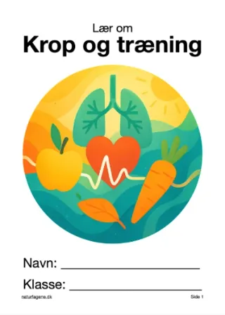 Illustration til undervisningsforløbet om Krop og træning