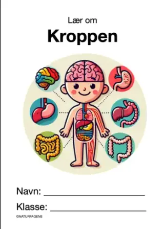 Illustration til undervisningsforløbet om Kroppen