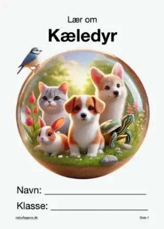 Illustration til undervisningsforløbet om Kæledyr