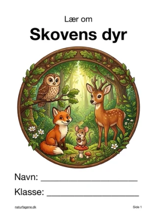 Skovens dyr – undervisningsforløb til natur/teknologi