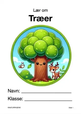 Træer – undervisningsforløb til natur/teknologi