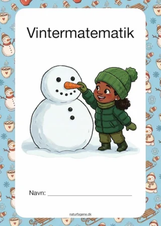 Vintermatematik – undervisningsforløb til matematik