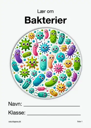 Illustration til undervisningsforløbet om Bakterier