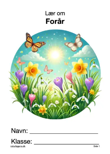 Illustration til undervisningsforløbet om Forår