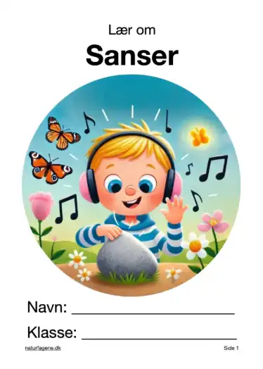 Illustration til undervisningsforløbet om Sanser