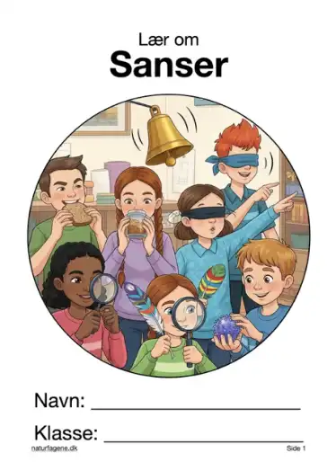 Illustration til undervisningsforløbet om Sanser