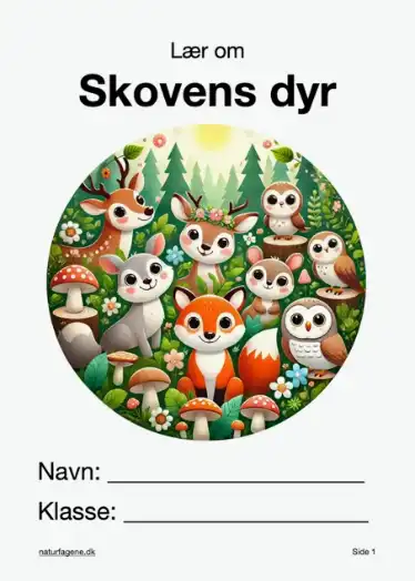 Illustration til undervisningsforløbet om Skovens dyr