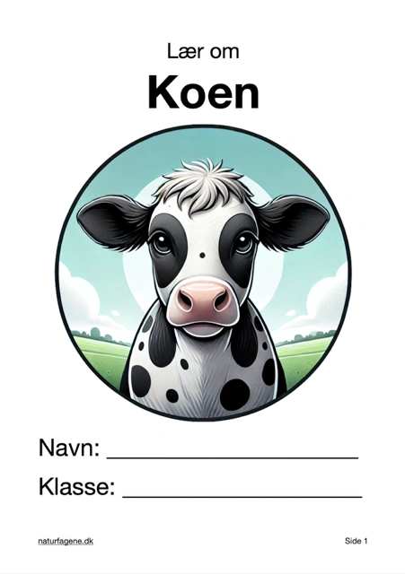Koen thumbnail