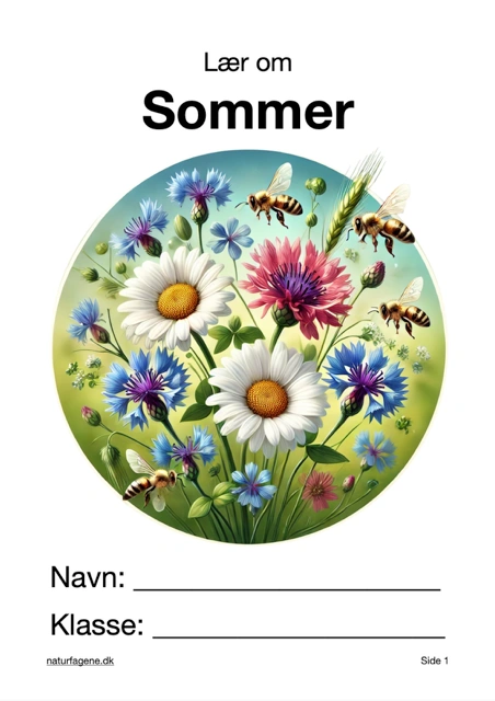 Sommer thumbnail